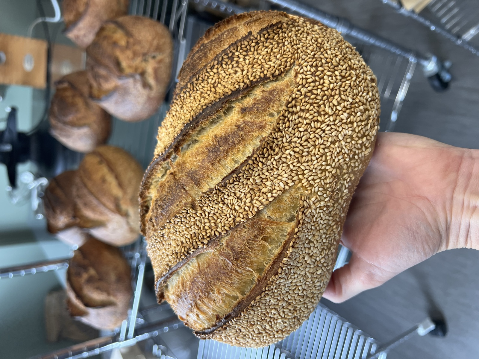 Crouton durum white loaf