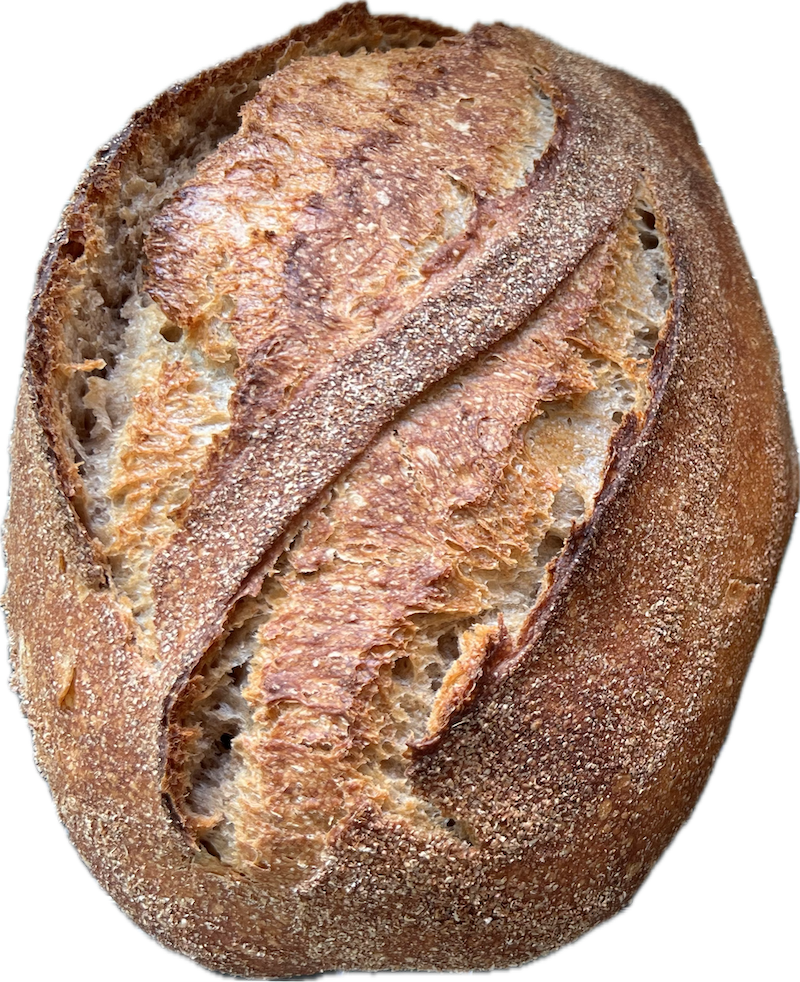 Country Sourdough